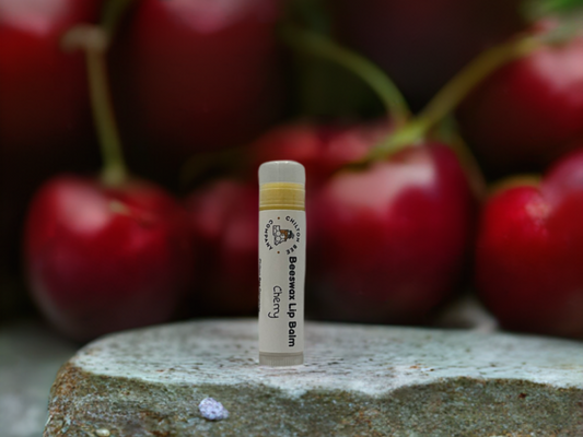 Lip Balm Tubes