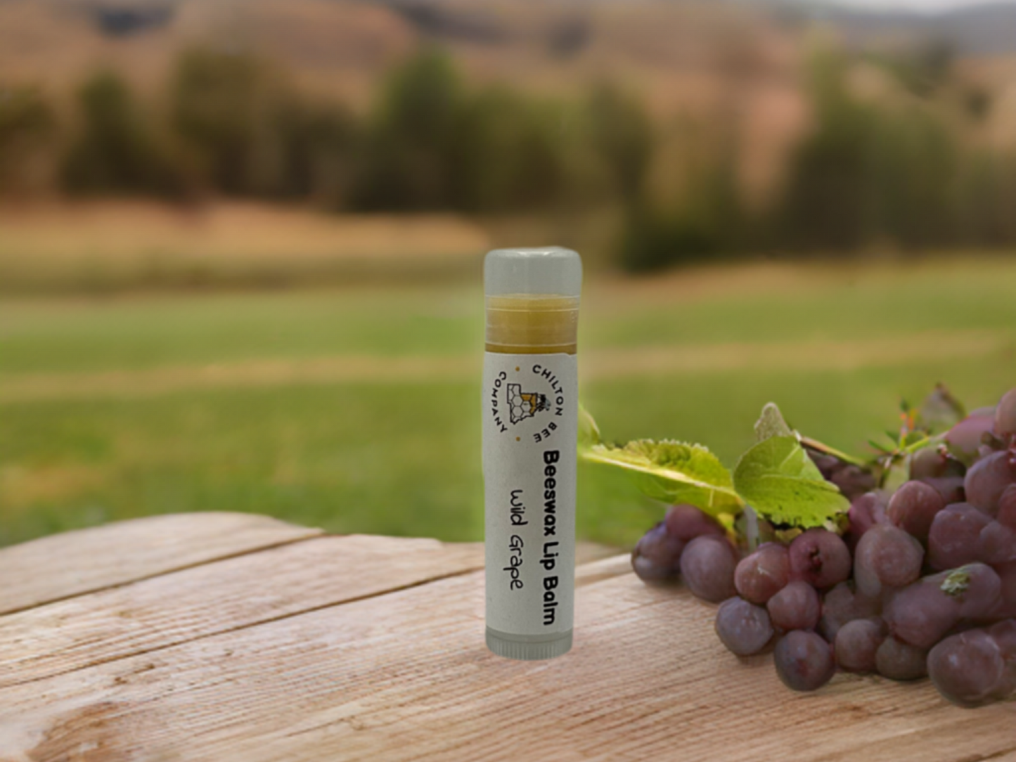 Lip Balm Tubes